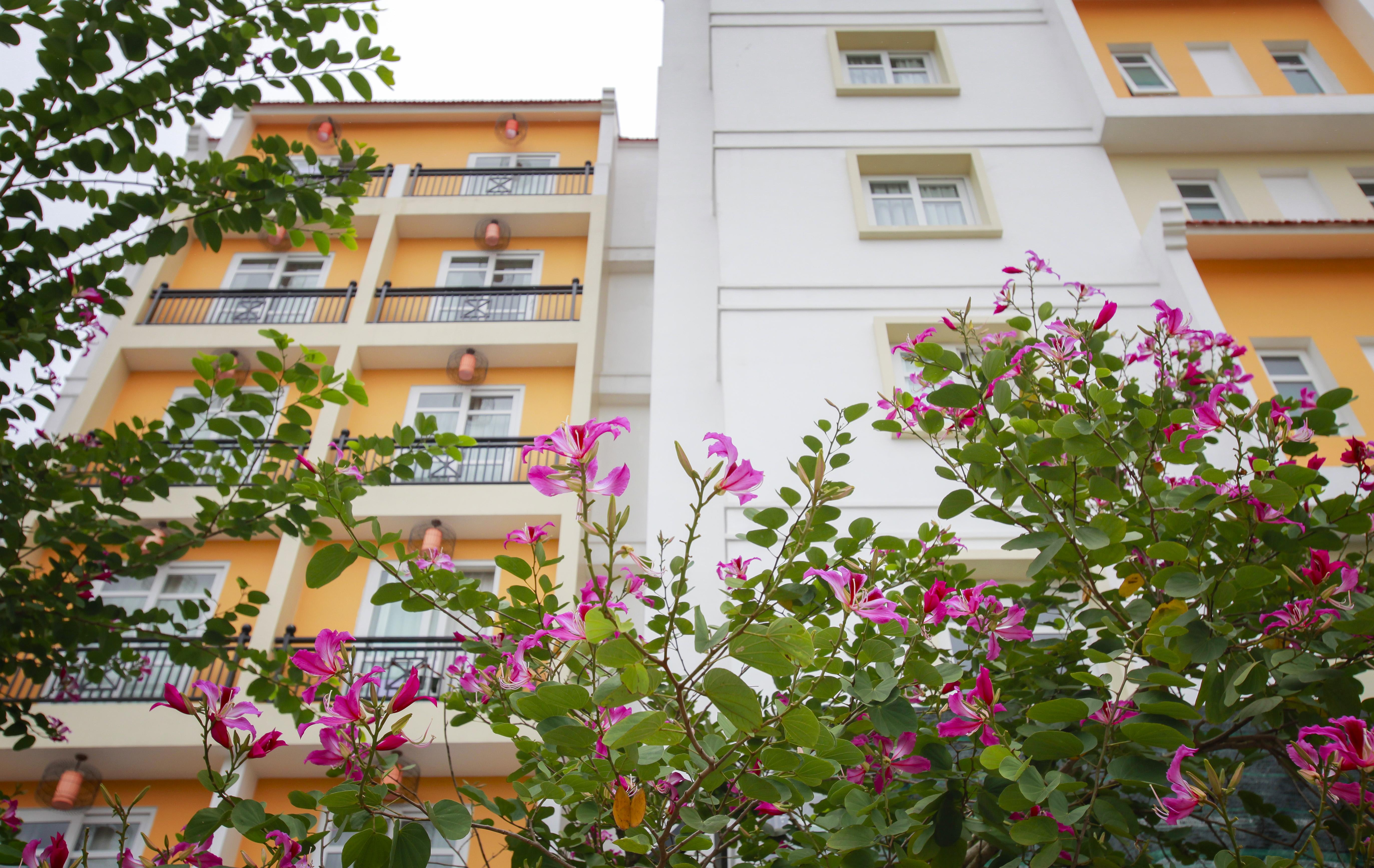 Royal Riverside Hoi An Hotel & Spa Εξωτερικό φωτογραφία